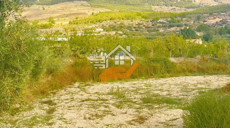 Almería - Vélez-Blanco - 16000m2