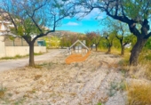 Terreny no urbanitzable en venda a Vélez-Blanco ref.: TR185954 foto