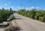 Parcel·la urbanitzable en venda a Múrcia ref.: TR253717 foto