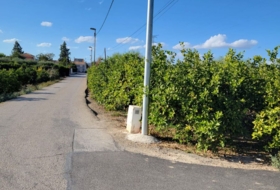 Foto 12