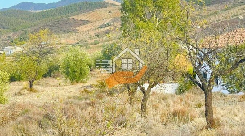 Almería - Vélez-Rubio - 7000m2