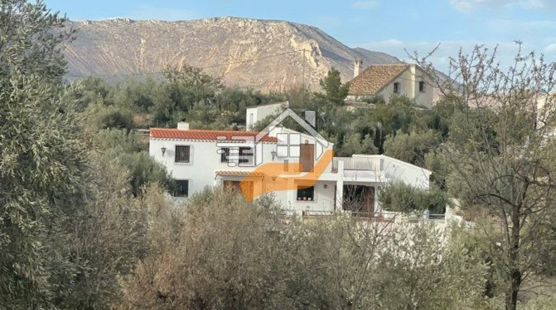 Almería - Vélez-Rubio - 7000m2