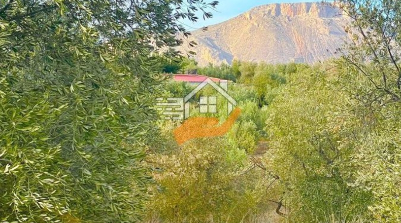 Almería - Vélez-Rubio - 7000m2