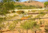 Finca rústica en venda a Vélez-Rubio ref.: TR183538 foto