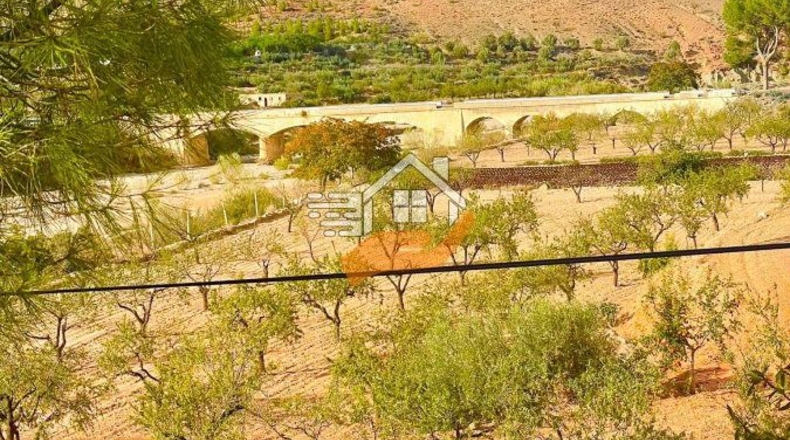 Almería - Vélez-Rubio - 18000m2