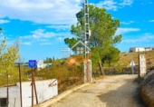 Finca rústica en venda a Vélez-Rubio ref.: TR183538 foto