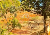 Finca rústica en venda a Vélez-Rubio ref.: TR183538 foto