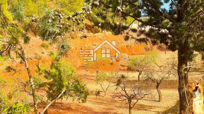 Almería - Vélez-Rubio - 18000m2