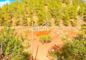 Finca rústica en venda a Vélez-Rubio ref.: TR183538 foto