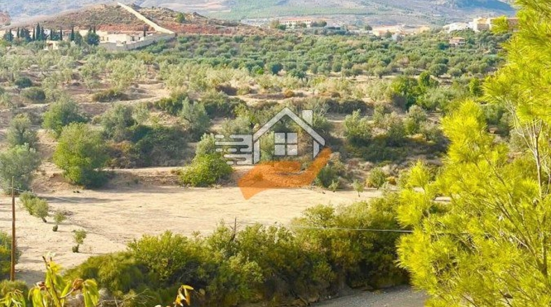 Almería - Vélez-Rubio - 18000m2