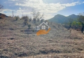 Finca rústica en venda a Vélez-Rubio ref.: TR183538 foto