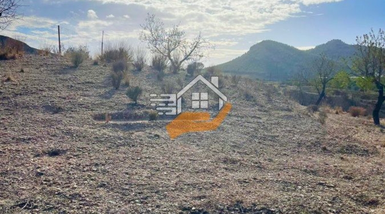 Almería - Vélez-Rubio - 18000m2