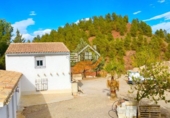 Finca rústica en venda a Vélez-Rubio ref.: TR183538 foto