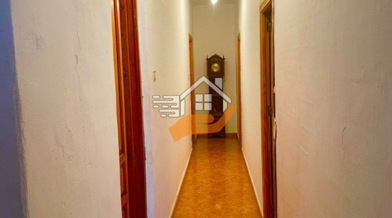 Almería - Vélez-Rubio - 540m2