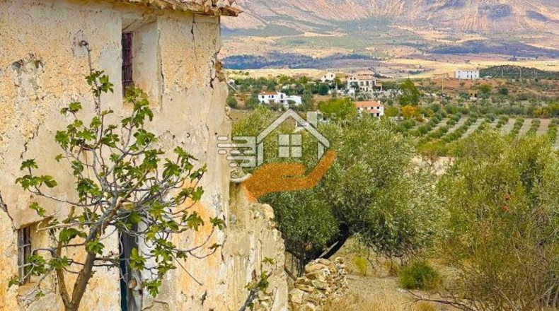 Almería - Vélez-Rubio - 16076m2