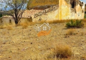 Finca rústica en venda a Vélez-Rubio ref.: TR183021 foto