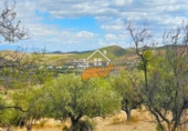 Finca rústica en venda a Vélez-Rubio ref.: TR183021 foto