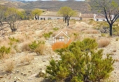 Finca rústica en venda a Vélez-Rubio ref.: TR183021 foto