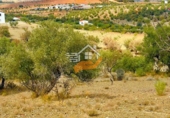 Finca rústica en venda a Vélez-Rubio ref.: TR183021 foto