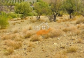 Finca rústica en venda a Vélez-Rubio ref.: TR183021 foto