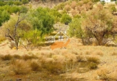Finca rústica en venda a Vélez-Rubio ref.: TR183021 foto