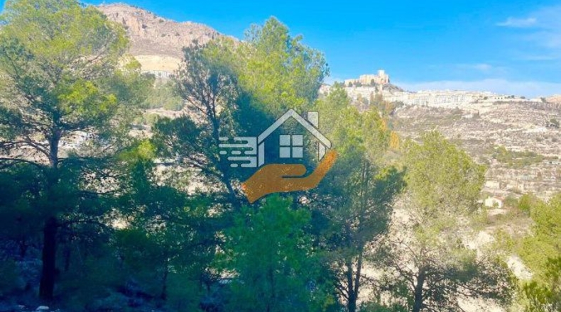 Almería - Topares - 8000m2