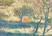 Finca rústica en venda a Vélez-Blanco ref.: TR176598 foto