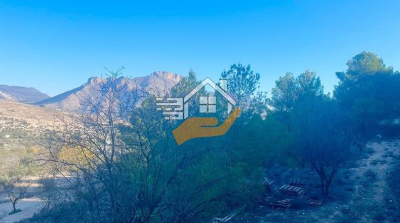 Almería - Topares - 8000m2