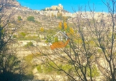 Finca rústica en venda a Vélez-Blanco ref.: TR176598 foto