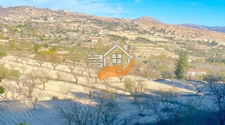 Almería - Topares - 8000m2