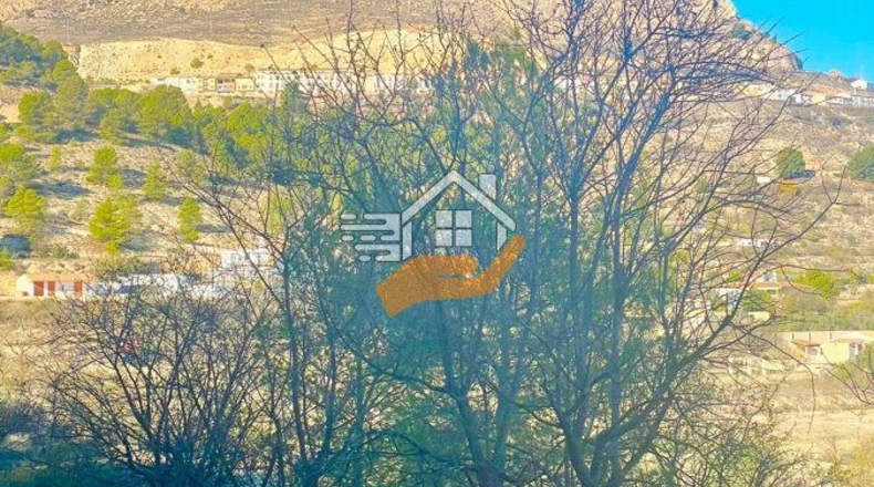Almería - Topares - 8000m2