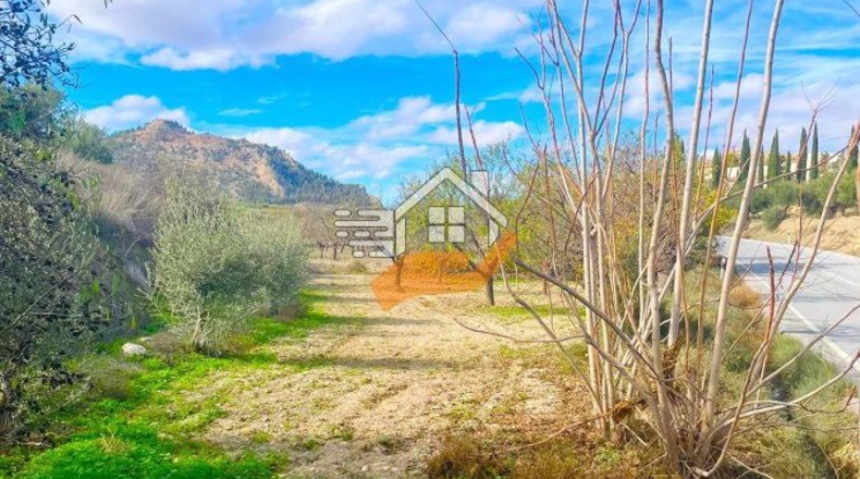 Almería - Vélez-Rubio - 9820m2