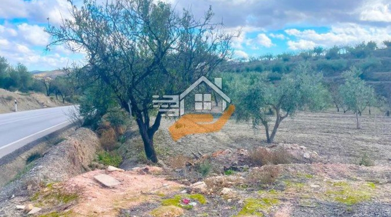 Almería - Vélez-Rubio - 9820m2