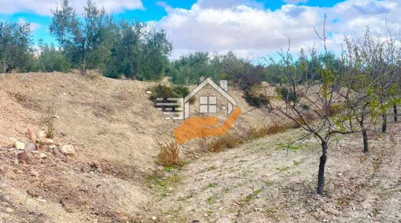Almería - Vélez-Rubio - 9820m2