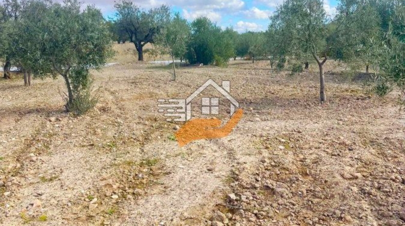 Almería - Vélez-Rubio - 9820m2