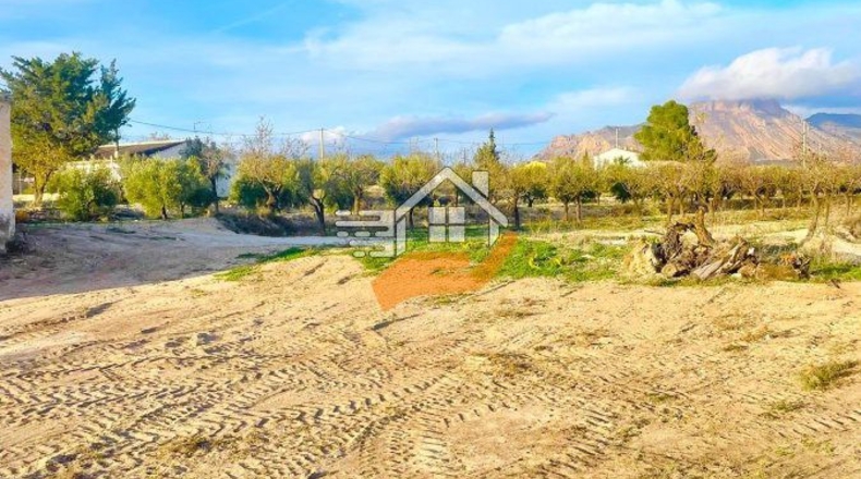 Almería - Vélez-Rubio - 2000m2