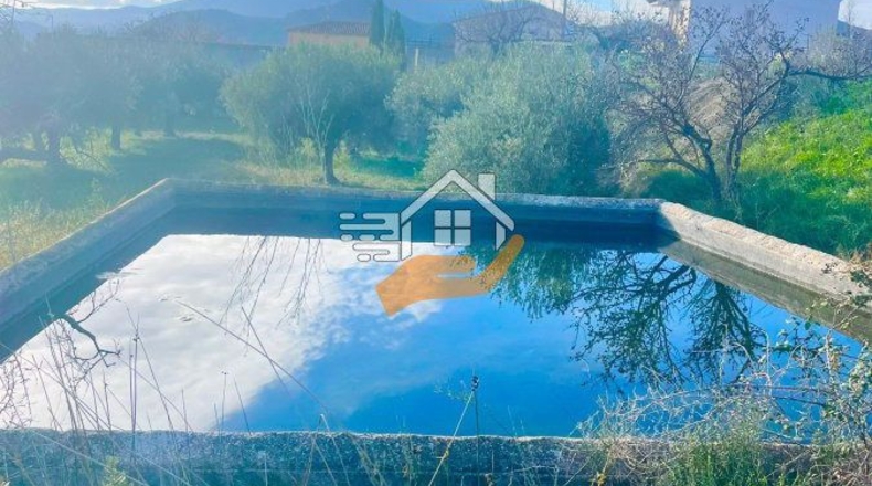 Almería - Vélez-Blanco - 6000m2