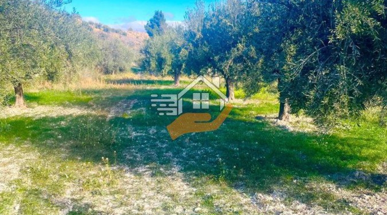 Almería - Vélez-Blanco - 6000m2