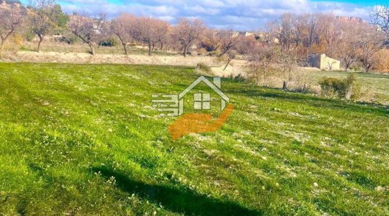 Almería - Vélez-Blanco - 6000m2