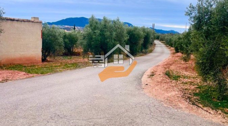 Almería - Vélez-Rubio - 20000m2