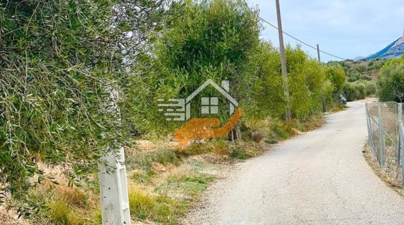 Almería - Vélez-Rubio - 20000m2