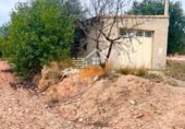 Terreno no urbanizable en venta en Vélez-Rubio ref: TR253721 foto