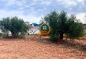 Terreno no urbanizable en venta en Vélez-Rubio ref: TR253721 foto