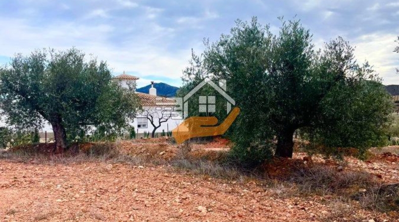 Almería - Vélez-Rubio - 20000m2