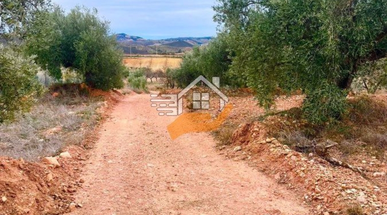 Almería - Vélez-Rubio - 20000m2
