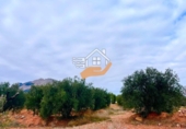 Terreno no urbanizable en venta en Vélez-Rubio ref: TR253721 foto