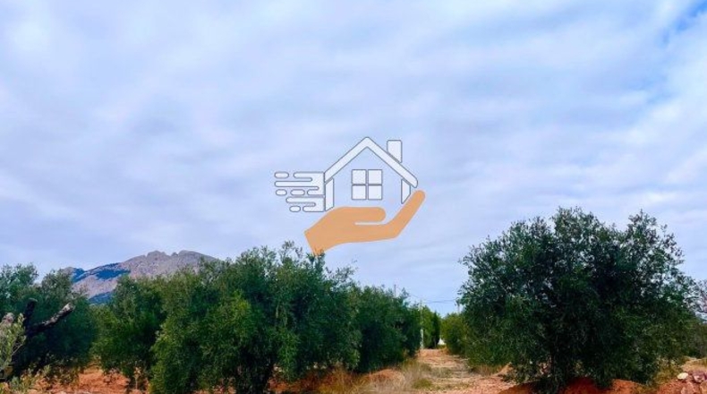 Almería - Vélez-Rubio - 20000m2