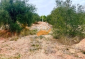 Terreno no urbanizable en venta en Vélez-Rubio ref: TR253721 foto