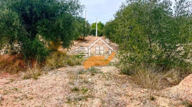 Almería - Vélez-Rubio - 20000m2