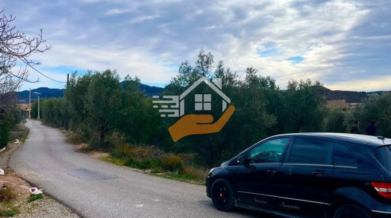 Almería - Vélez-Rubio - 20000m2